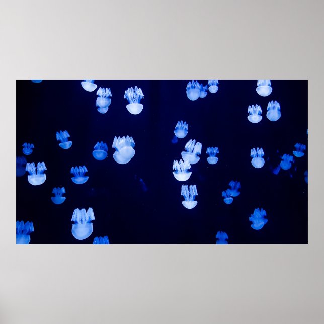 AFFICHE TERRES LUMINEUSES (Devant)