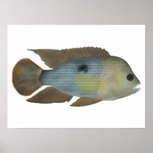 Affiche Terreur verte