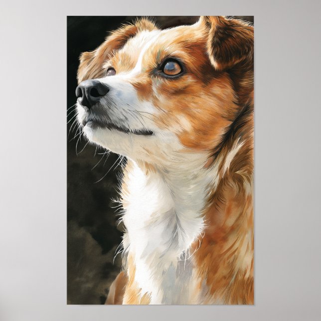 Affiche Terrier chihuahua mixed breed dog closeup (Devant)