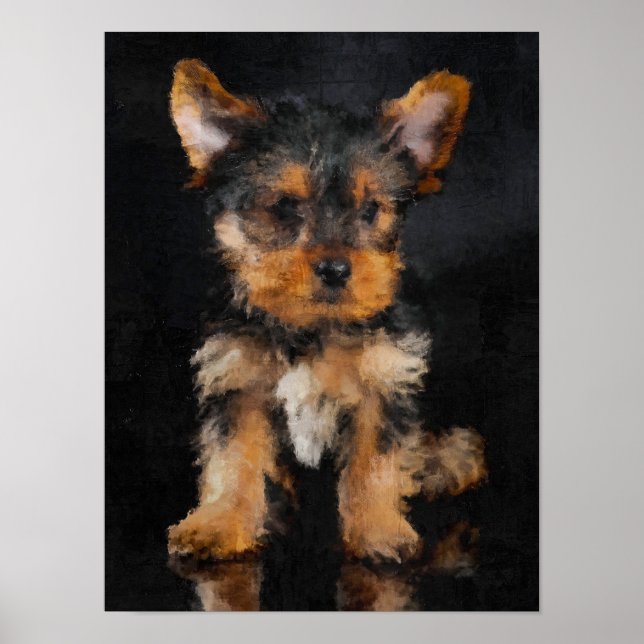 Affiche Terrier du Yorkshire (Devant)