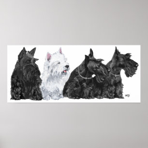 Affiche Terrier Écossais
