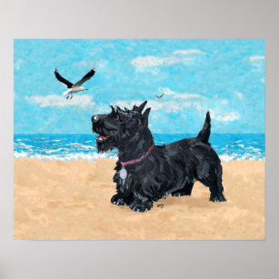 Affiche Terrier écossais à la plage