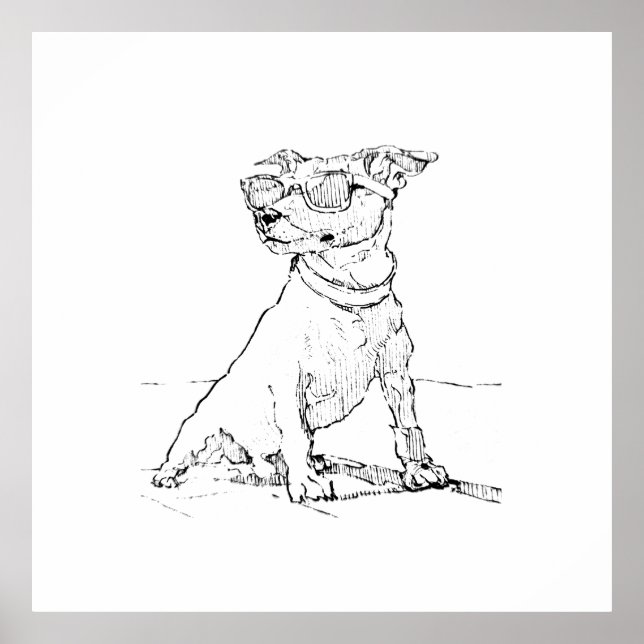 Affiche Terrier Jack Russell  (Devant)