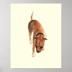 Affiche Terrier Staffordshire Bull Terrier amusant - Art c