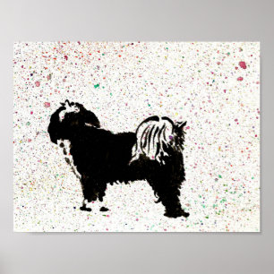 Affiche Terrier tibétain - regardant