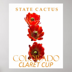 Affiche Territoire du Colorado Cactus The Claret Cup