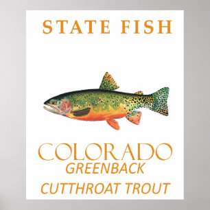 Affiche Territoire du Colorado Poisson La truite Greenback