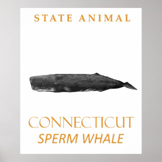 Affiche Territoire du Connecticut Animal Physeter macrocep