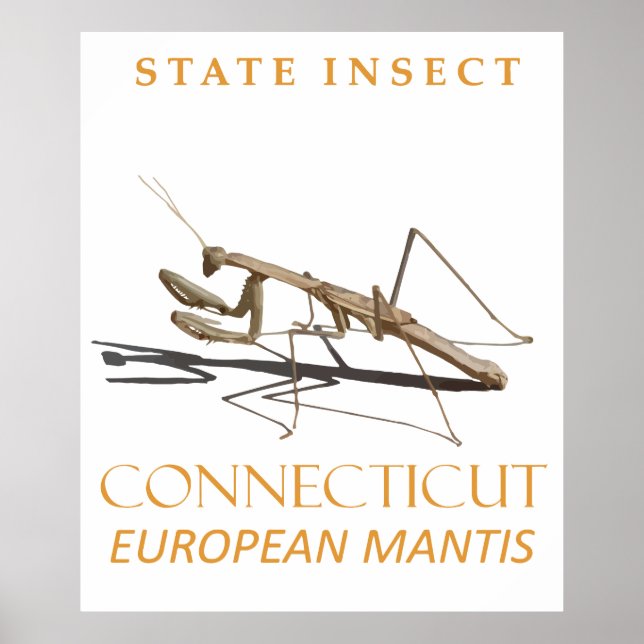 Affiche Territoire du Connecticut Insecte Mantis religiosa (Devant)