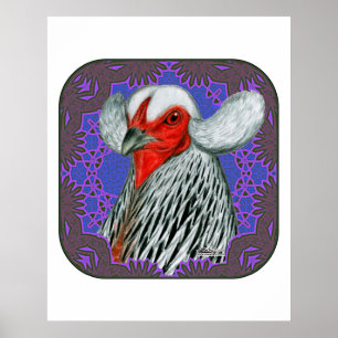 Affiche Tête Araucana encadrée