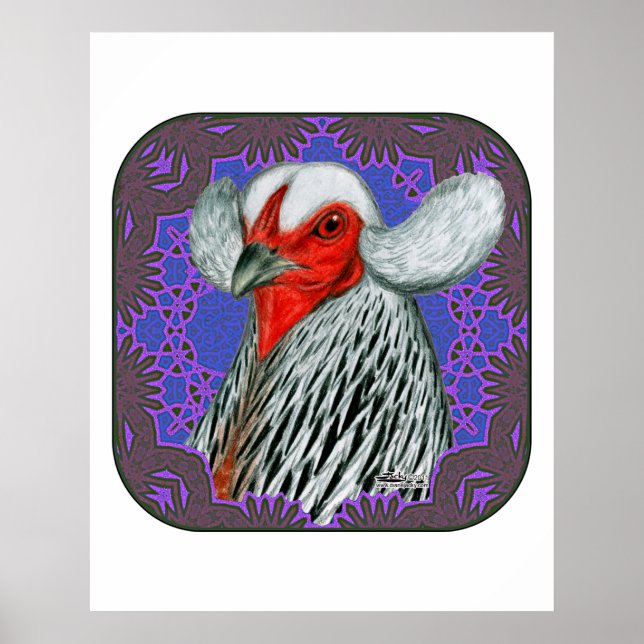 Affiche Tête Araucana encadrée (Devant)