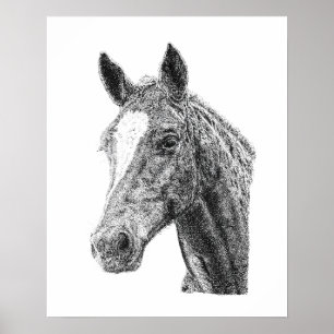 Affiche Tête de cheval mâle étalon éclair blanc Art équin