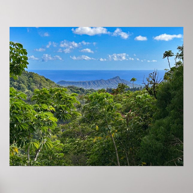 Affiche Tête de diamant (Devant)