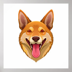 Affiche Tête de dingo de chien sauvage australien