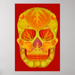 Affiche Tête de feuille d'aspect 13