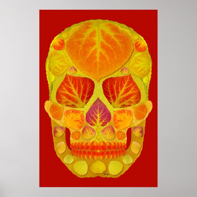 Affiche Tête de feuille d'aspect 13 (Devant)
