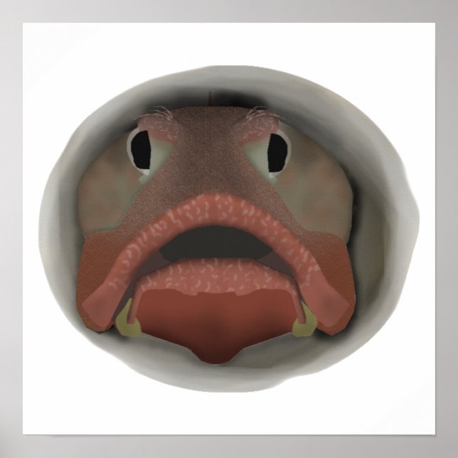 Affiche Tête de fringale sarcastique - Tête de poisson (Devant)