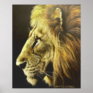 Affiche Tête de lion