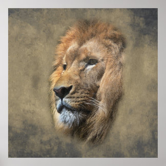 Affiche Tête de lion