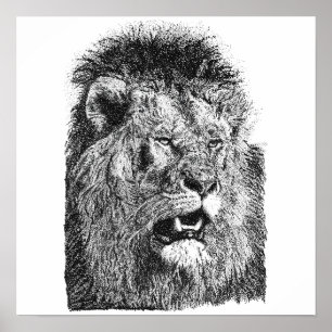 Affiche Tête de lion mâle dessinée à la main Art Illustrat