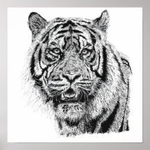 Tête de tigre pointillisme noir et blanc Art fauni