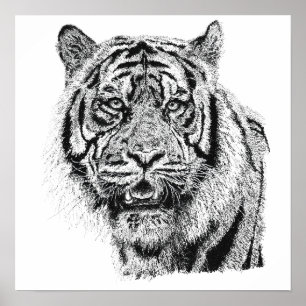 Affiche Tête de tigre pointillisme noir et blanc Art fauni