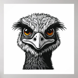 Affiche Tête d'oiseau Émeu
