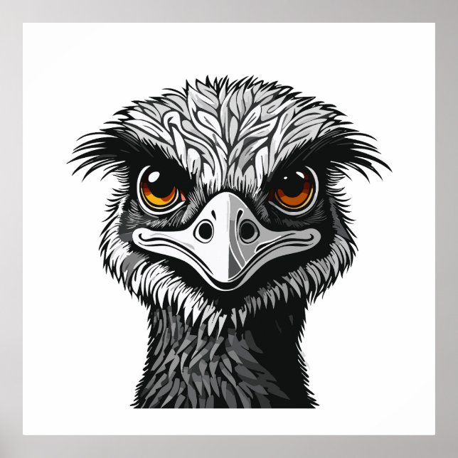 Affiche Tête d'oiseau Émeu (Devant)