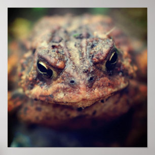 Affiche Tête vers le haut