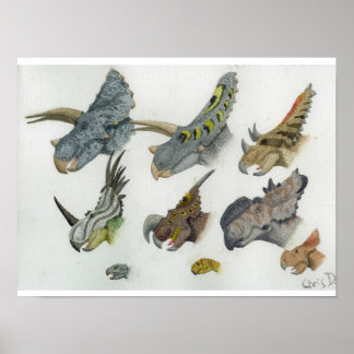 Affiche Têtes de cératophe Imprimer