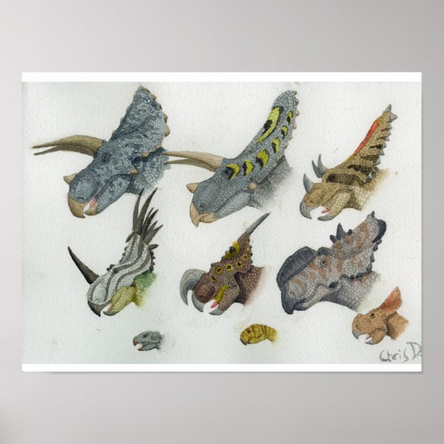 Affiche Têtes de cératophe Imprimer (Devant)