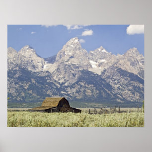 Affiche Tetons et vieille copie de grange