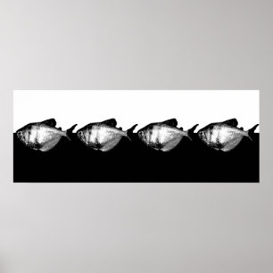 Affiche Tétra école de jupe noire