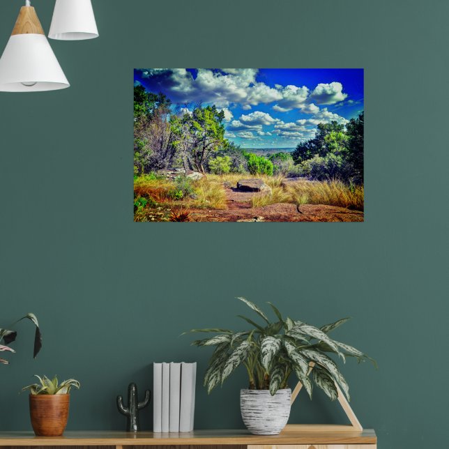 Affiche Texas  (Salon 1)