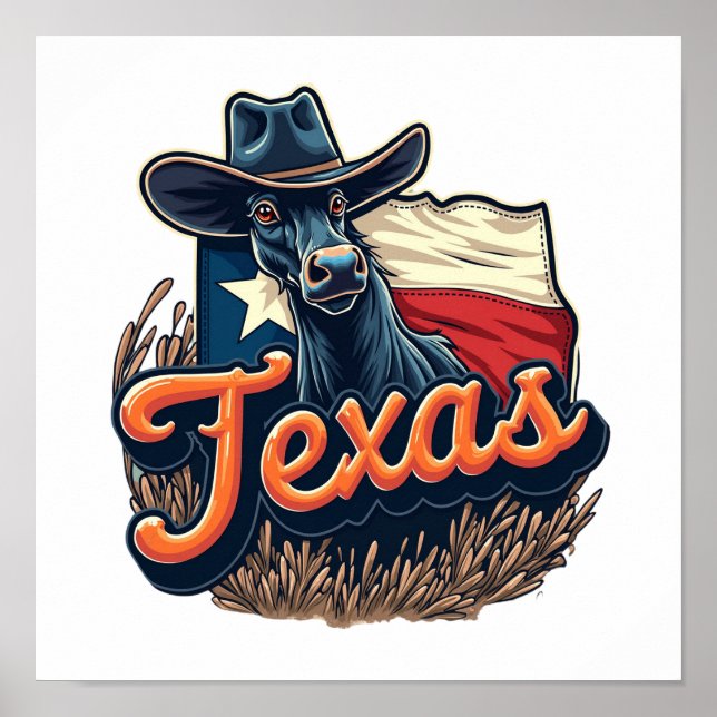 Affiche Texas (Devant)