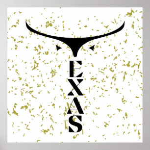 AFFICHE TEXAS