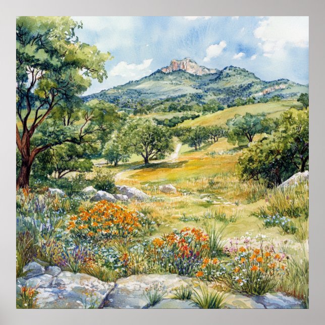 Affiche Texas Hill Country (Devant)