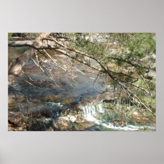 Affiche Texas Hill Country n° 3