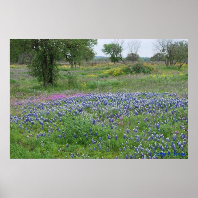 Affiche Texas Hill Country Print (Devant)