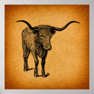 Affiche Texas Longhorn Bull Rustic Vintage Western
