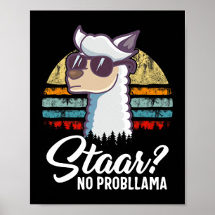 Affiche Texas State Test Day Llama Alpaca pour les étudian