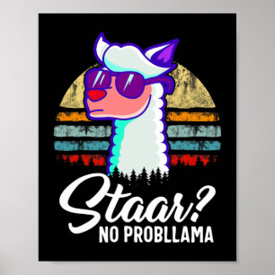 Affiche Texas State Test Day Llama Alpaca pour les étudian