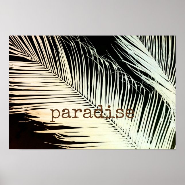 Affiche texte de l'affiche de palme tropical sur la photo  (Devant)