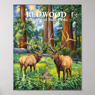 Affiche Texte personnalisé Elan Redwood Californie Forêt V
