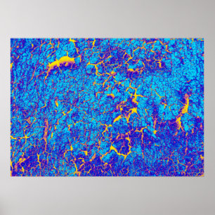 Affiche Texture Abstraite distincte