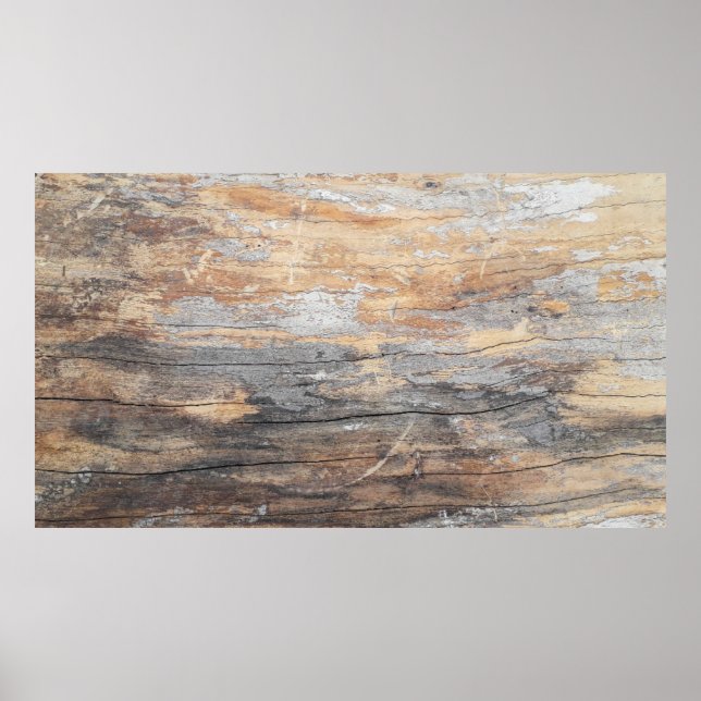 Affiche texture arrière - plan vieux beau treeabstract, ba (Devant)