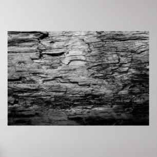 Affiche Texture bois noir et blanc