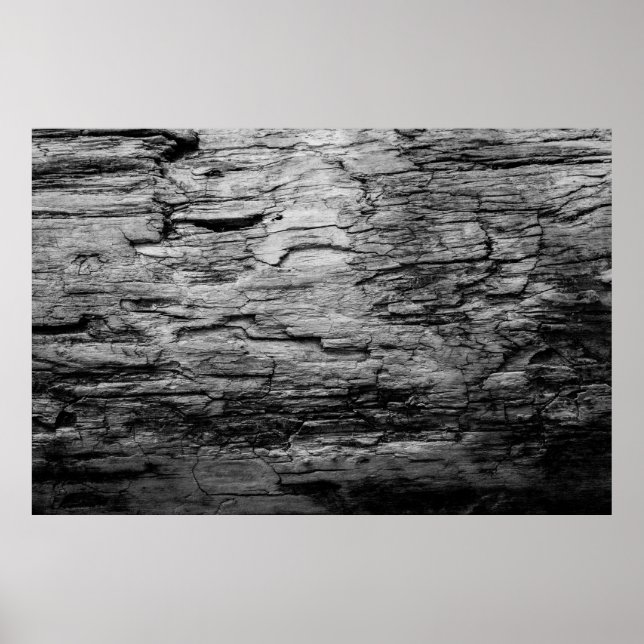 Affiche Texture bois noir et blanc (Devant)