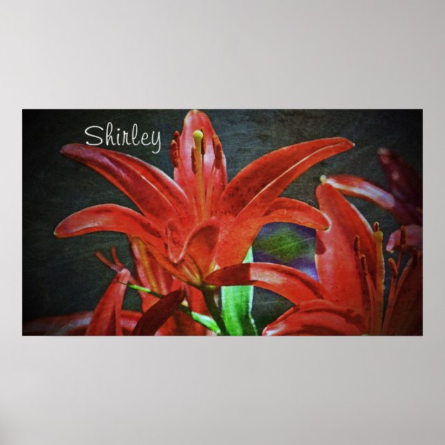 Affiche Texture de Lily-rouge par Shirley Taylor (Devant)