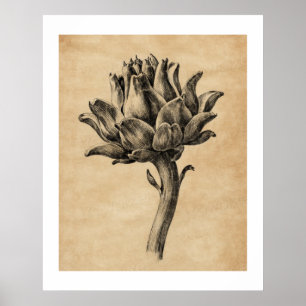Affiche Texture de papier vintage Artichaut par Jean Berna